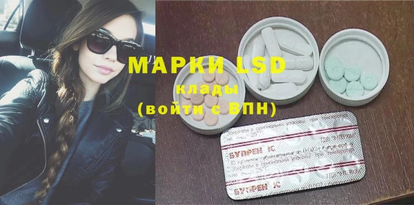 дмт Алзамай