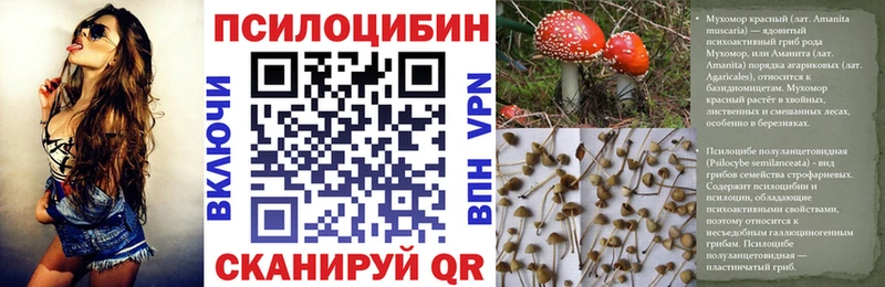 мориарти телеграм  Верхоянск  Псилоцибиновые грибы Psilocybe 